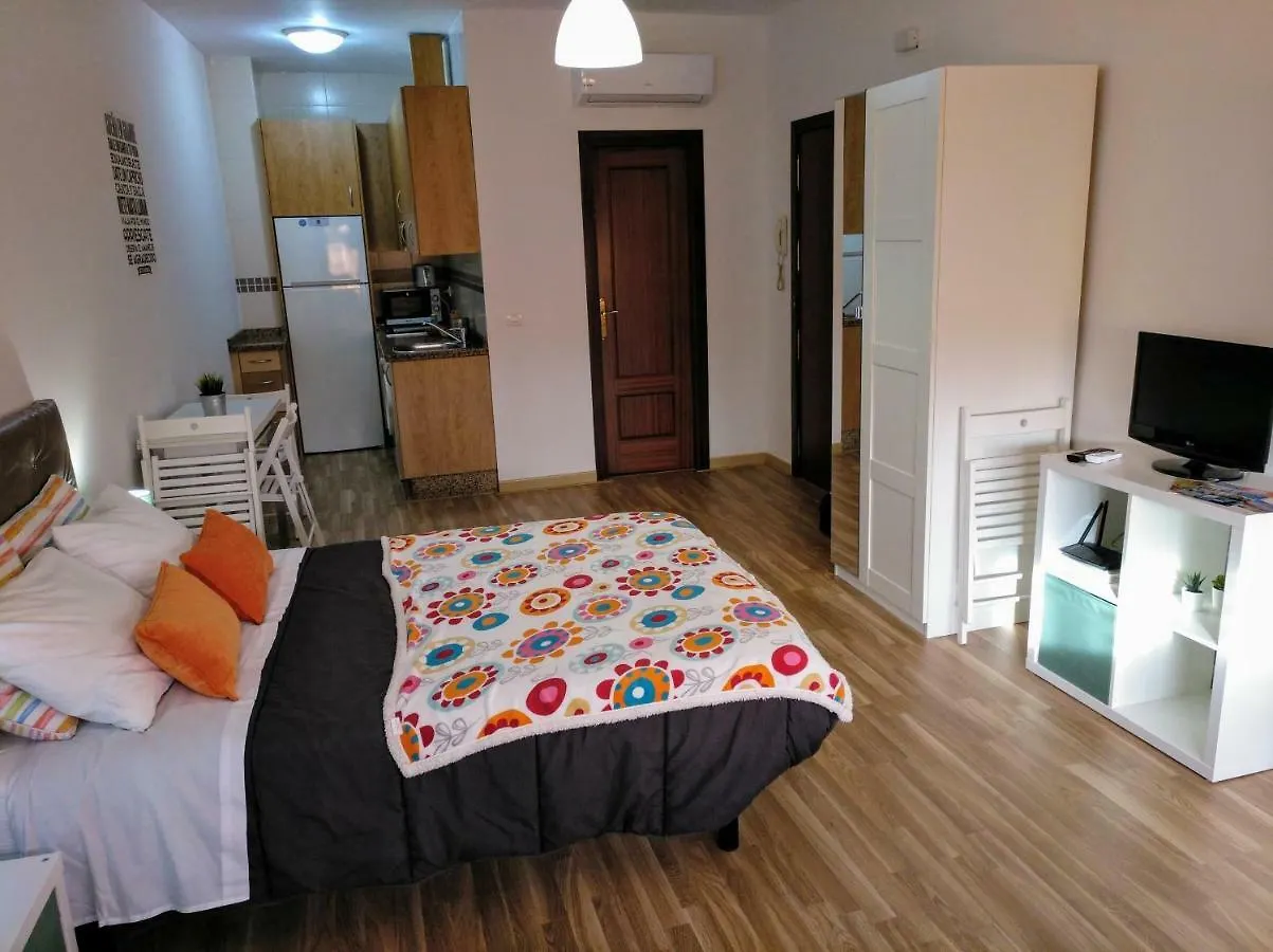Apartment Apartamento Domingo Lozano Malaga
